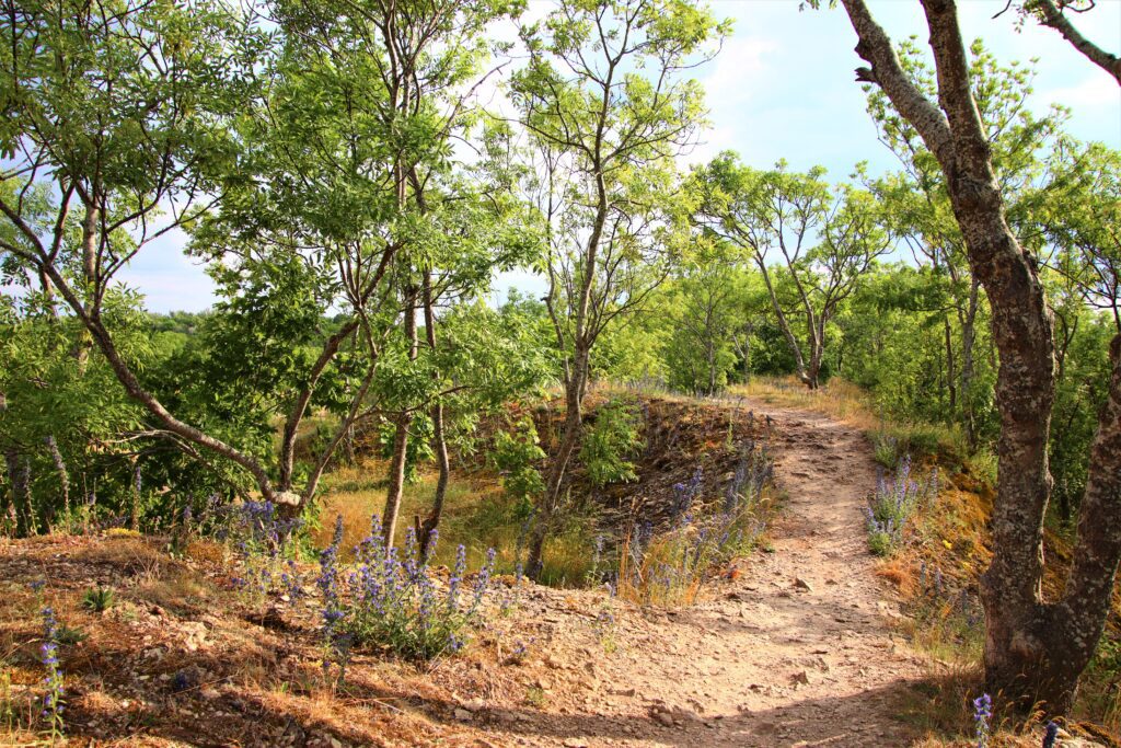 Klint park (Foto: Tallinn Green Capital Bureau)